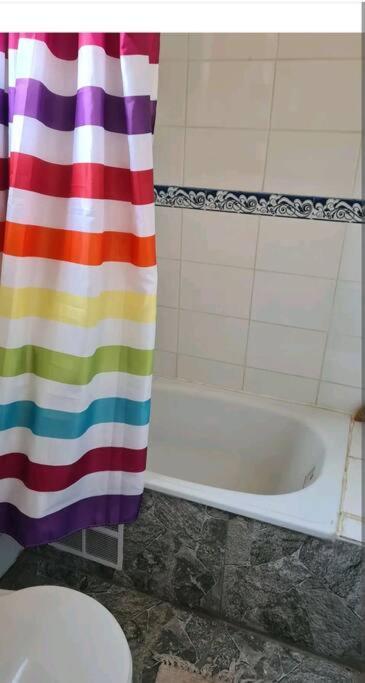 Apartment El Gran Roble. Constitucion